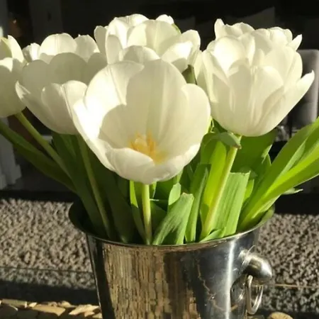 Summer Breeze Bad Zwischenahn